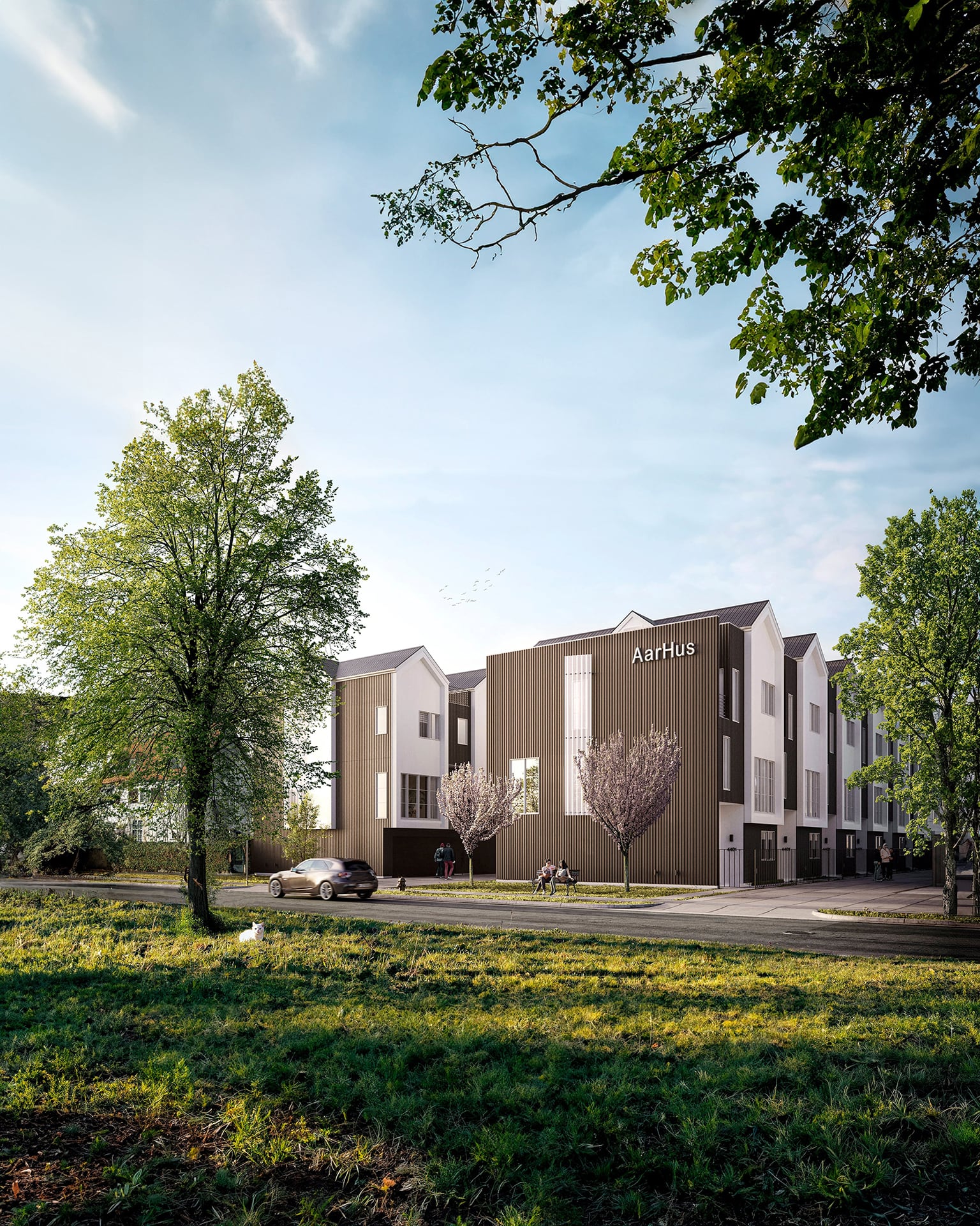 Exterior rendering of custom homes with black and white cladding in Dallas, USA